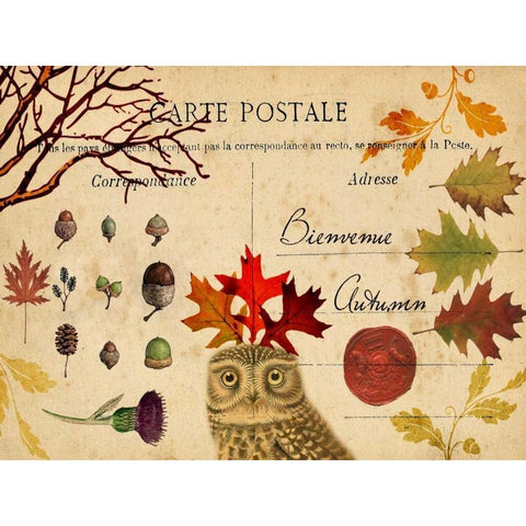 Collected Autumn V Black Modern Wood Framed Art Print with Double Matting by Lloyd, Sandy