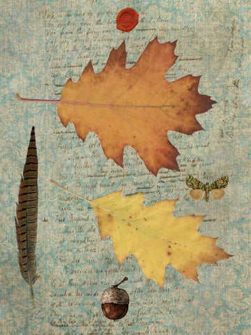 Autumn Leaf III Black Ornate Wood Framed Art Print with Double Matting by Lloyd, Sandy