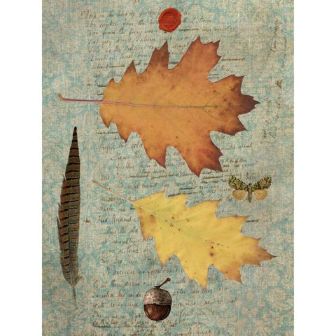 Autumn Leaf III Black Modern Wood Framed Art Print with Double Matting by Lloyd, Sandy