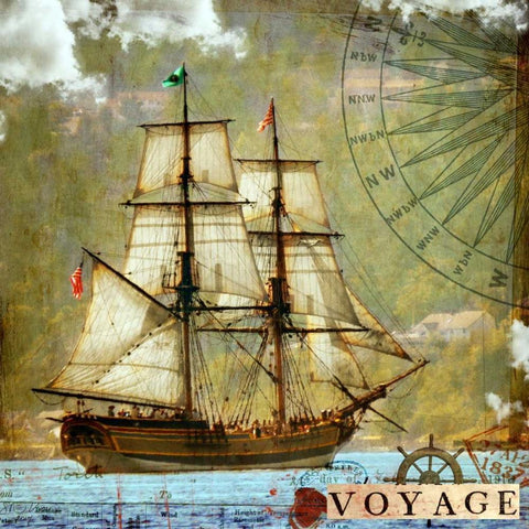 Voyage White Modern Wood Framed Art Print by Lloyd, Sandy