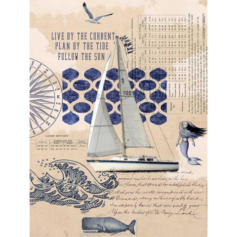 Current Tide Sun Black Modern Wood Framed Art Print with Double Matting by Lloyd, Sandy