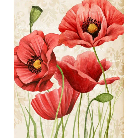 Poised Poppy I Black Modern Wood Framed Art Print with Double Matting by Popp, Grace