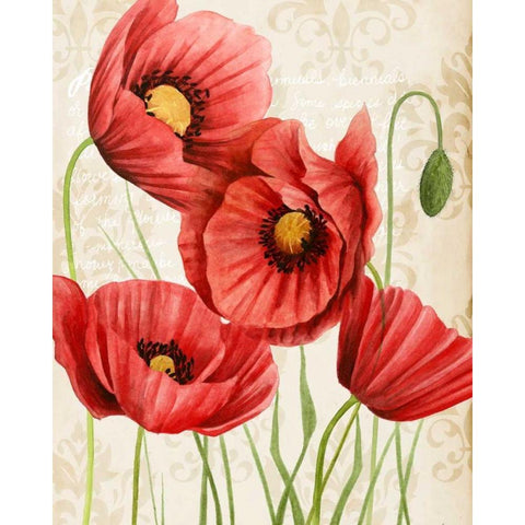 Poised Poppy II Gold Ornate Wood Framed Art Print with Double Matting by Popp, Grace