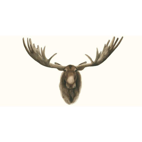 Moose Bust Gold Ornate Wood Framed Art Print with Double Matting by Popp, Grace