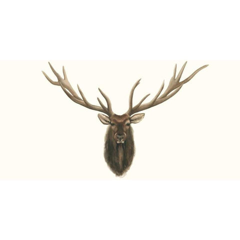 Elk Bust Gold Ornate Wood Framed Art Print with Double Matting by Popp, Grace