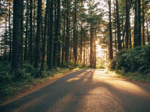 Pacific Northwest Oregon III Black Ornate Wood Framed Art Print with Double Matting by Mead, Adam