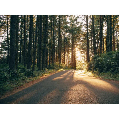 Pacific Northwest Oregon III Black Modern Wood Framed Art Print by Mead, Adam