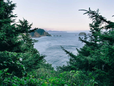 Pacific Northwest Oregon IV Black Ornate Wood Framed Art Print with Double Matting by Mead, Adam