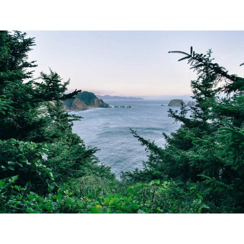 Pacific Northwest Oregon IV Black Modern Wood Framed Art Print with Double Matting by Mead, Adam