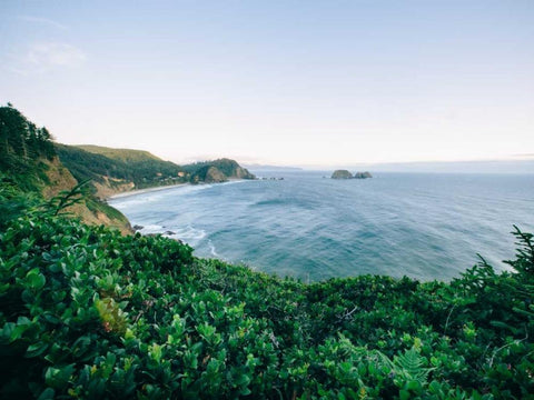 Pacific Northwest Oregon V Black Ornate Wood Framed Art Print with Double Matting by Mead, Adam