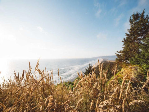 Pacific Northwest Oregon VIII White Modern Wood Framed Art Print with Double Matting by Mead, Adam