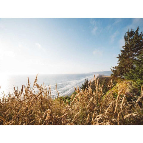 Pacific Northwest Oregon VIII Black Modern Wood Framed Art Print by Mead, Adam