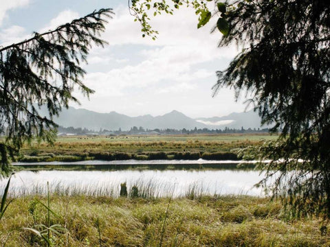 Pacific Northwest Oregon X Black Ornate Wood Framed Art Print with Double Matting by Mead, Adam