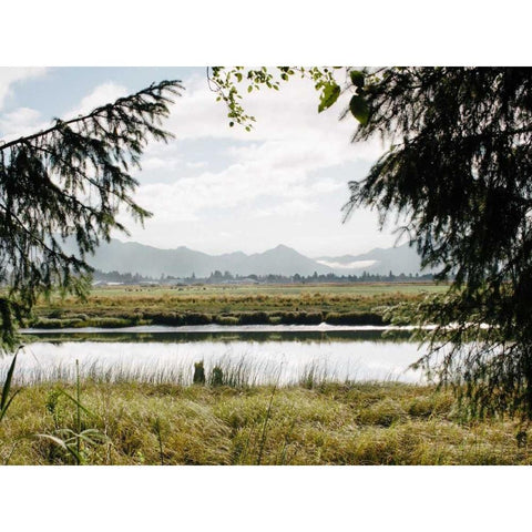 Pacific Northwest Oregon X Black Modern Wood Framed Art Print by Mead, Adam