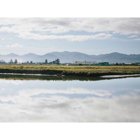 Pacific Northwest Oregon XI White Modern Wood Framed Art Print by Mead, Adam