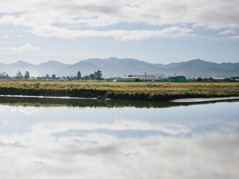 Pacific Northwest Oregon XI Black Ornate Wood Framed Art Print with Double Matting by Mead, Adam
