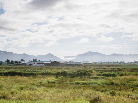 Pacific Northwest Oregon XII Black Ornate Wood Framed Art Print with Double Matting by Mead, Adam