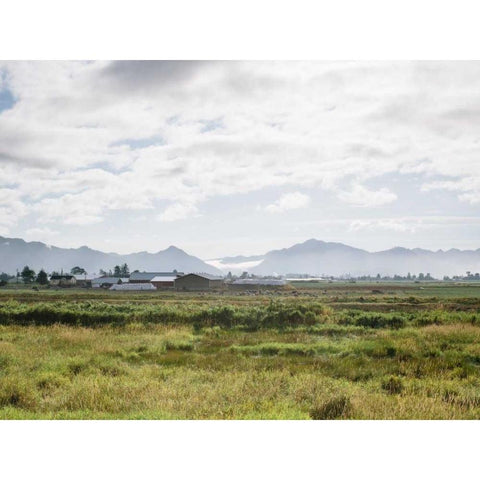 Pacific Northwest Oregon XII Black Modern Wood Framed Art Print by Mead, Adam