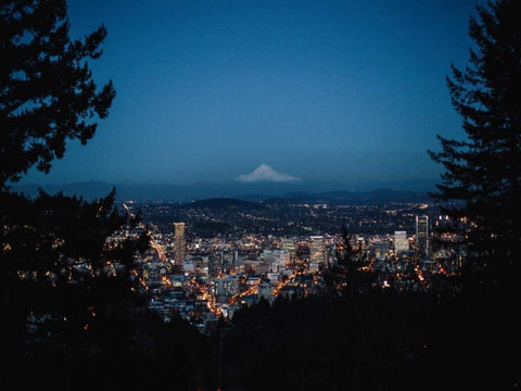 Pacific Northwest Oregon XIV White Modern Wood Framed Art Print with Double Matting by Mead, Adam