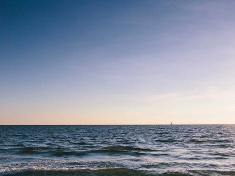 South Florida I Black Ornate Wood Framed Art Print with Double Matting by Mead, Adam