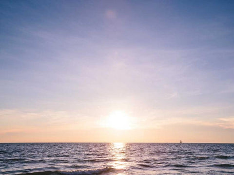 South Florida II White Modern Wood Framed Art Print with Double Matting by Mead, Adam