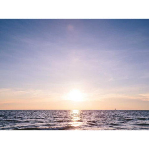 South Florida II White Modern Wood Framed Art Print by Mead, Adam