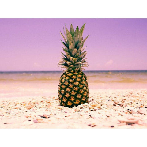 South Florida Pineapple I Black Modern Wood Framed Art Print with Double Matting by Mead, Adam