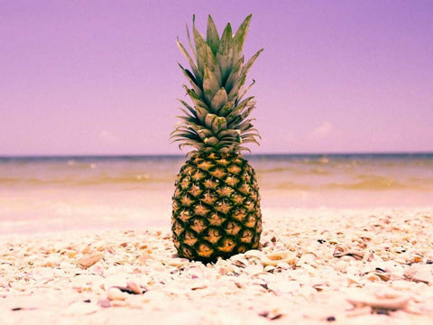 South Florida Pineapple I White Modern Wood Framed Art Print with Double Matting by Mead, Adam