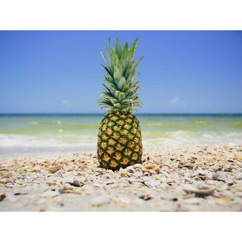 South Florida Pineapple II Black Modern Wood Framed Art Print by Mead, Adam
