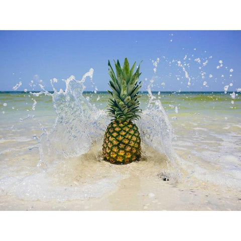 South Florida Pineapple III Gold Ornate Wood Framed Art Print with Double Matting by Mead, Adam