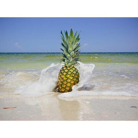 South Florida Pineapple IV Black Modern Wood Framed Art Print with Double Matting by Mead, Adam