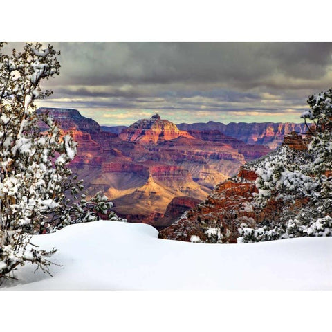 Snowy Grand Canyon I Black Modern Wood Framed Art Print with Double Matting by Drost, David