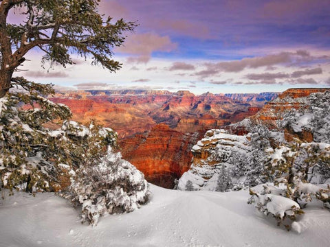 Snowy Grand Canyon II White Modern Wood Framed Art Print with Double Matting by Drost, David