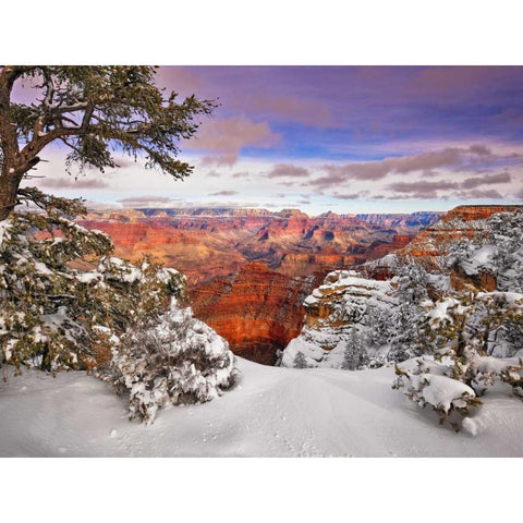 Snowy Grand Canyon II Black Modern Wood Framed Art Print by Drost, David