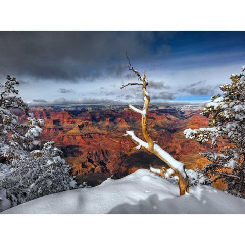 Snowy Grand Canyon III Gold Ornate Wood Framed Art Print with Double Matting by Drost, David