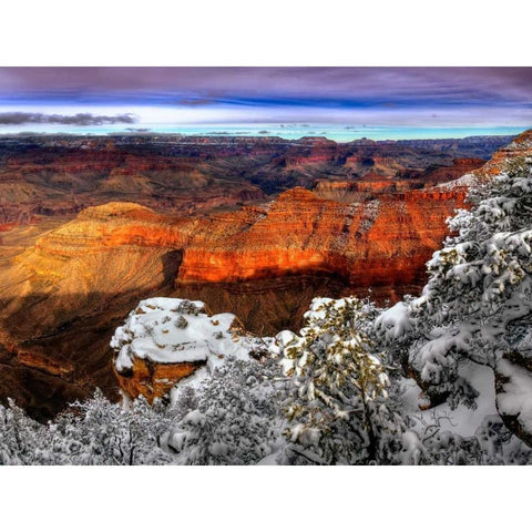 Snowy Grand Canyon IV Black Modern Wood Framed Art Print with Double Matting by Drost, David