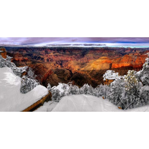 Snowy Grand Canyon VII Black Modern Wood Framed Art Print by Drost, David
