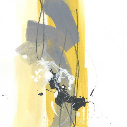 Image Only