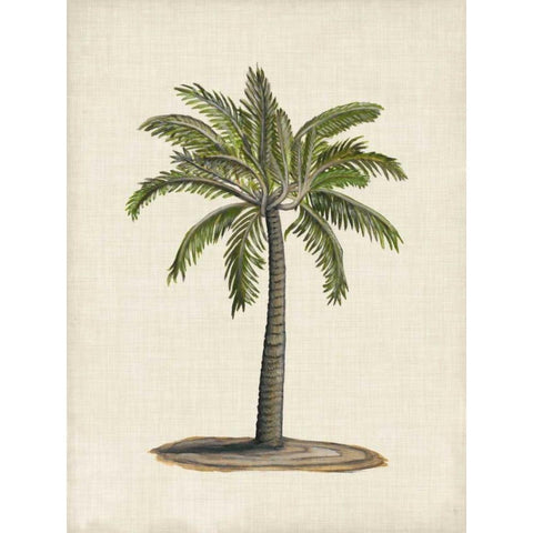 British Palms I White Modern Wood Framed Art Print by McCavitt, Naomi