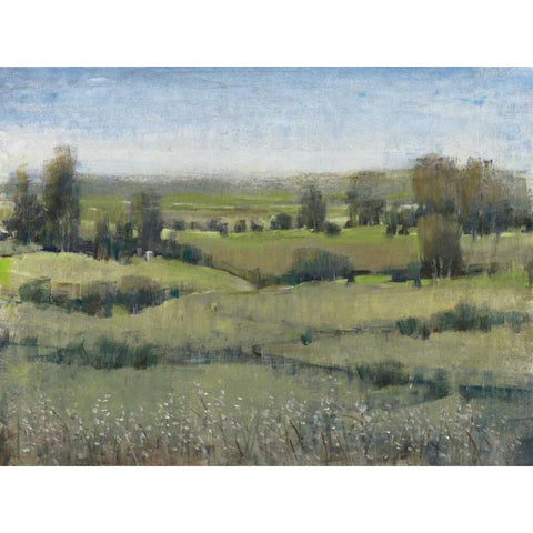 Morning Horizon II Black Modern Wood Framed Art Print with Double Matting by OToole, Tim