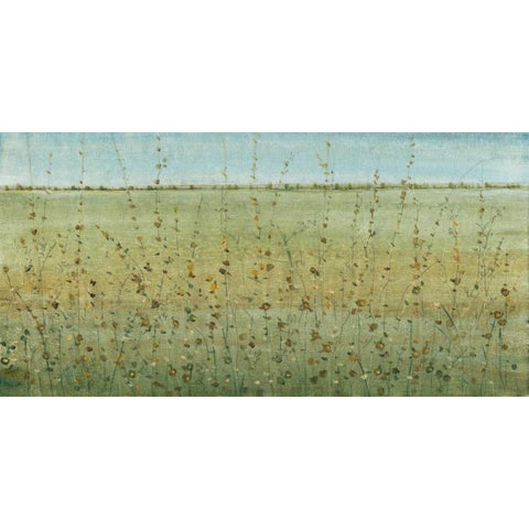 Edge of the Field I White Modern Wood Framed Art Print by OToole, Tim