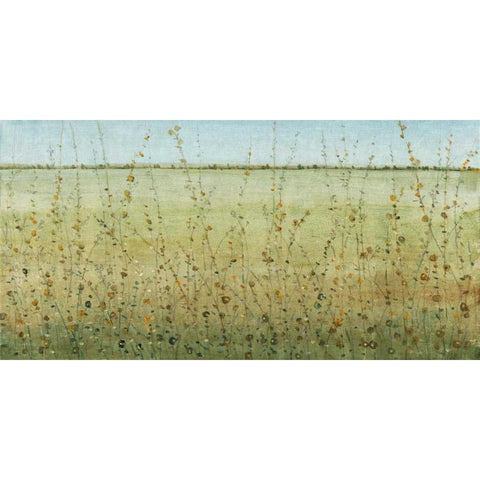 Edge of the Field II Black Modern Wood Framed Art Print with Double Matting by OToole, Tim