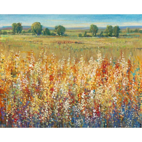 Gold and Red Field I Black Modern Wood Framed Art Print with Double Matting by OToole, Tim