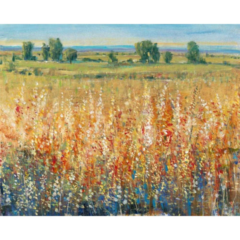 Gold and Red Field II Black Modern Wood Framed Art Print with Double Matting by OToole, Tim