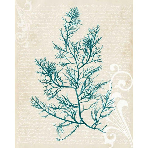 Teal Seaweed I Black Modern Wood Framed Art Print with Double Matting by Popp, Grace