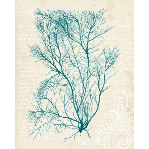 Teal Seaweed II White Modern Wood Framed Art Print by Popp, Grace