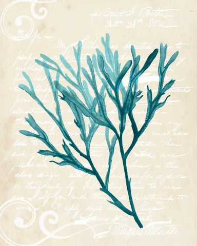 Teal Seaweed III White Modern Wood Framed Art Print with Double Matting by Popp, Grace