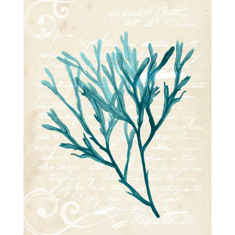 Teal Seaweed III Black Modern Wood Framed Art Print with Double Matting by Popp, Grace