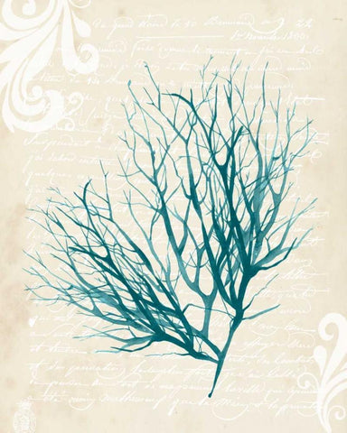 Teal Seaweed IV White Modern Wood Framed Art Print with Double Matting by Popp, Grace