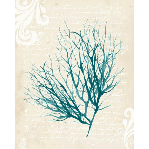 Teal Seaweed IV Black Modern Wood Framed Art Print by Popp, Grace